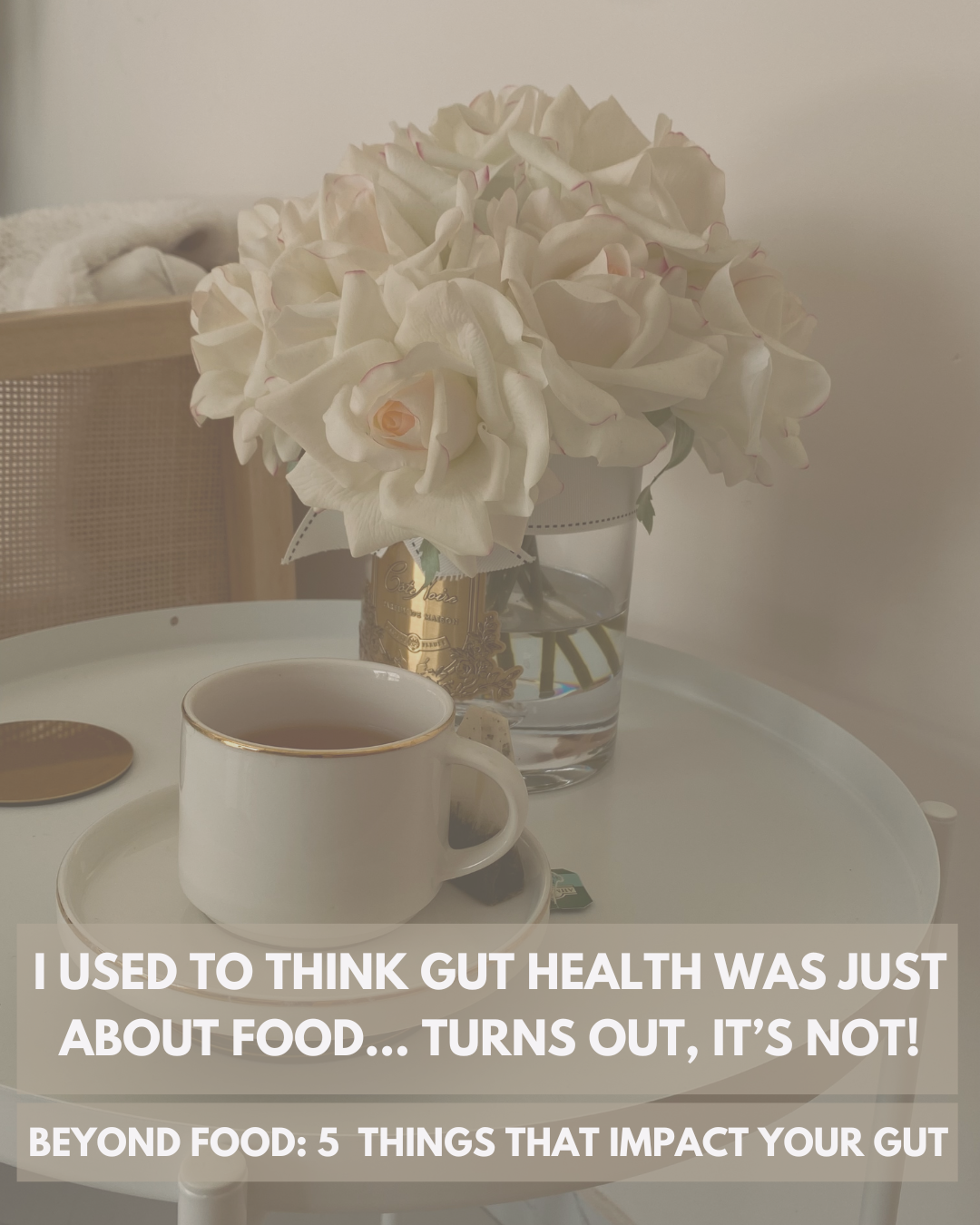 Cover for lifestyle habits for gut health: "I used to think gut health was just about food… turns out, it’s not!Beyond food: 5 Things That Impact your Gut"